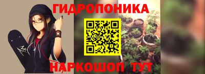 эйфоретик Славгород