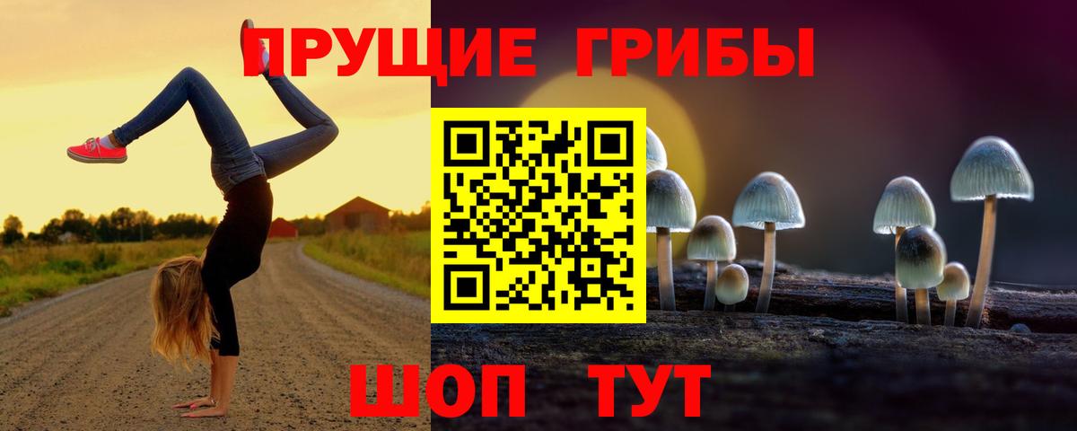 Псилоцибиновые грибы мухоморы  Вход с VPN  Псилоцибиновые грибы мицелий  Рубцовск 
